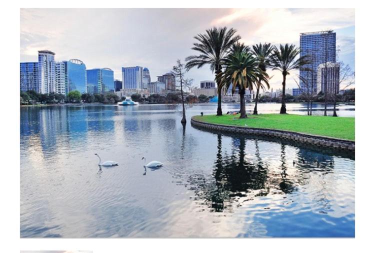 College Park-Orlando 5Star Villa Oasis - Home Away From Home - Quiet Neighborhood-Private Botanical Courtyard - Mins From Eola,Dt, Winter Park - Free Parking & Ev Plug In Ngoại thất bức ảnh